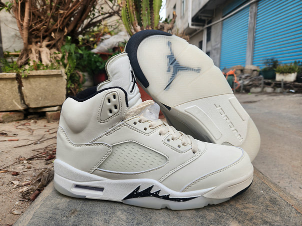 Air Jordan 5