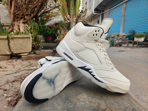 Air Jordan 5