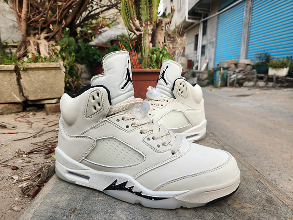 Air Jordan 5