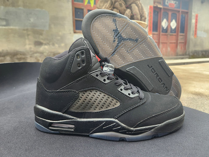Air Jordan 5