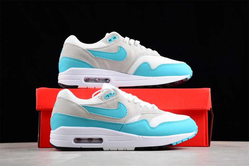 Nike Air Max 1