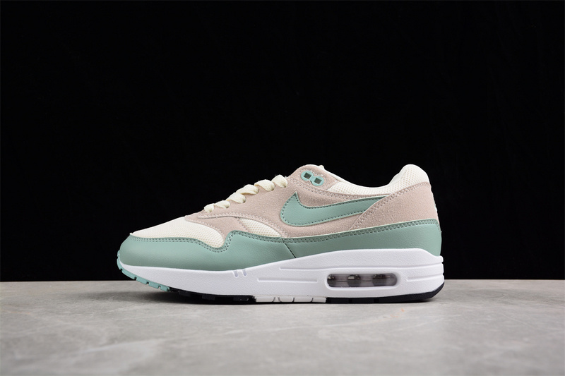 Nike Air Max 1