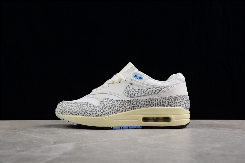 Nike Air Max 1