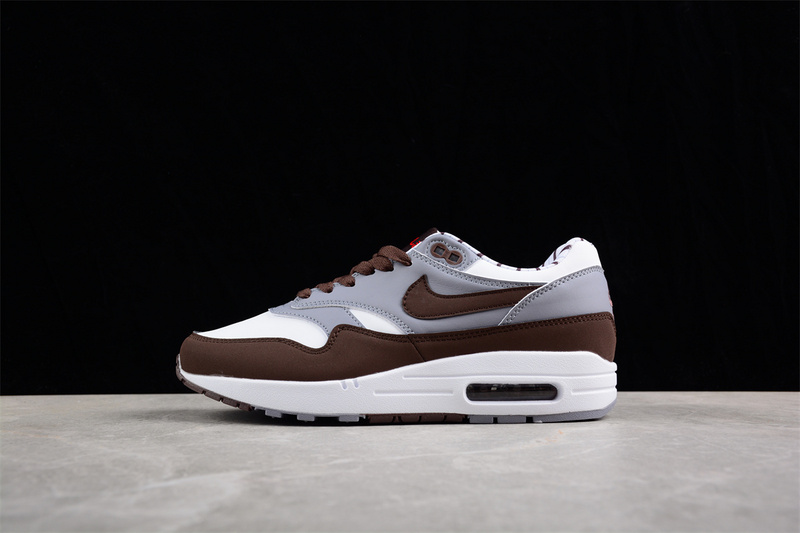Nike Air Max 1