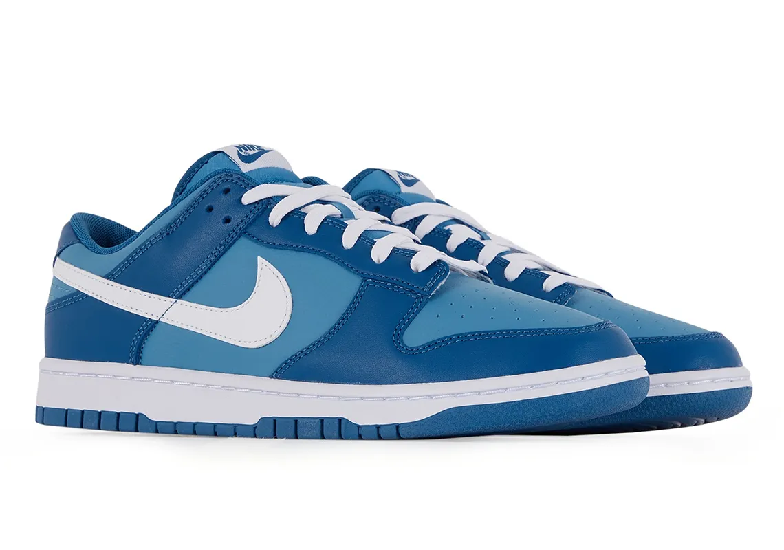 Nike Dunk SB