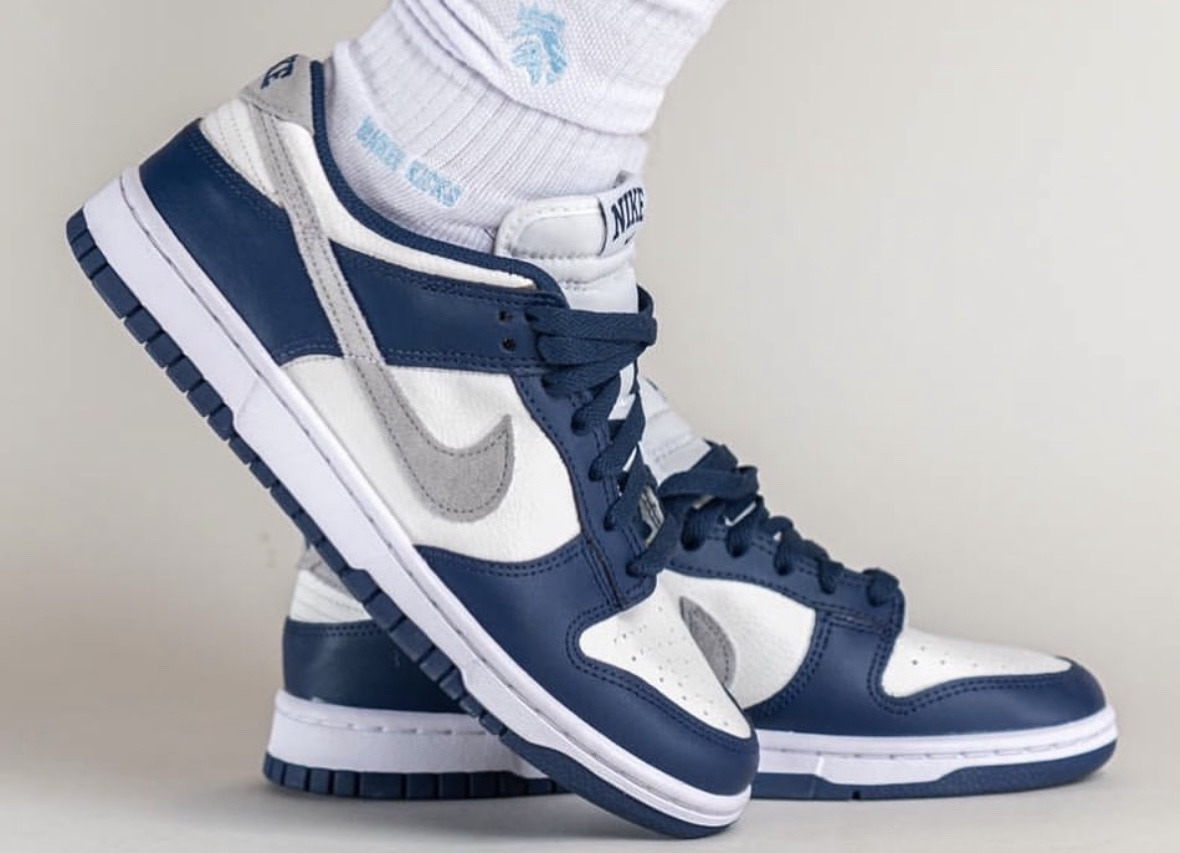 Nike Dunk SB