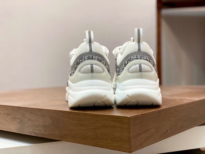 Dior B22