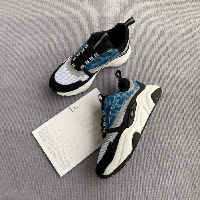 Dior B22
