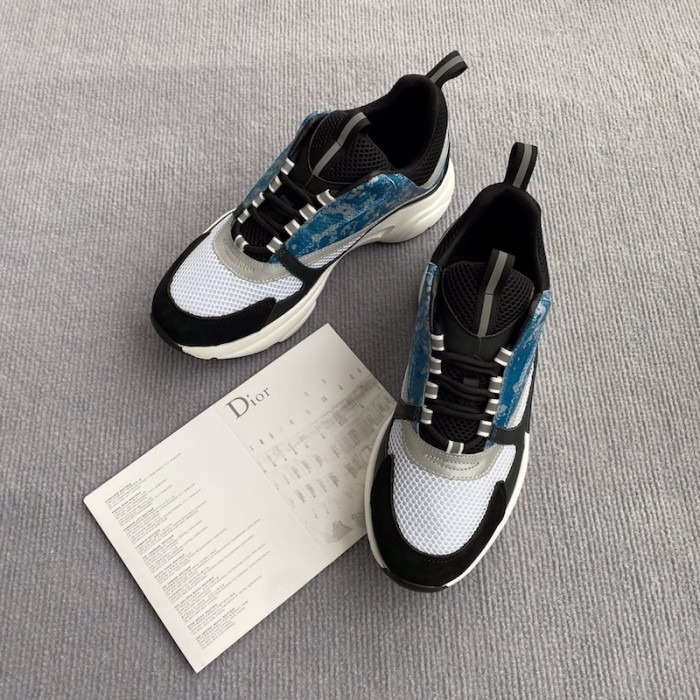 Dior B22