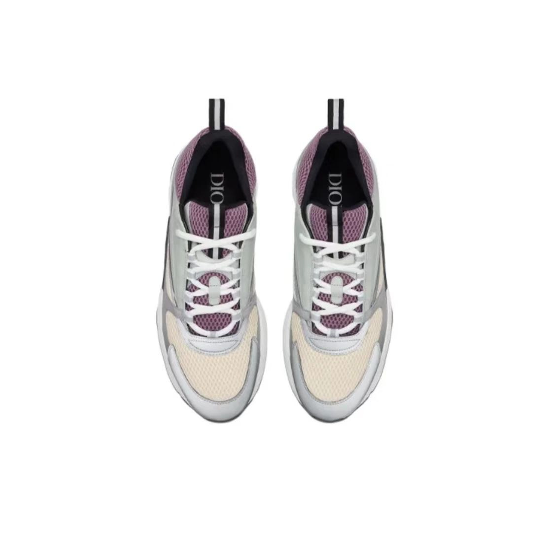 Dior B22