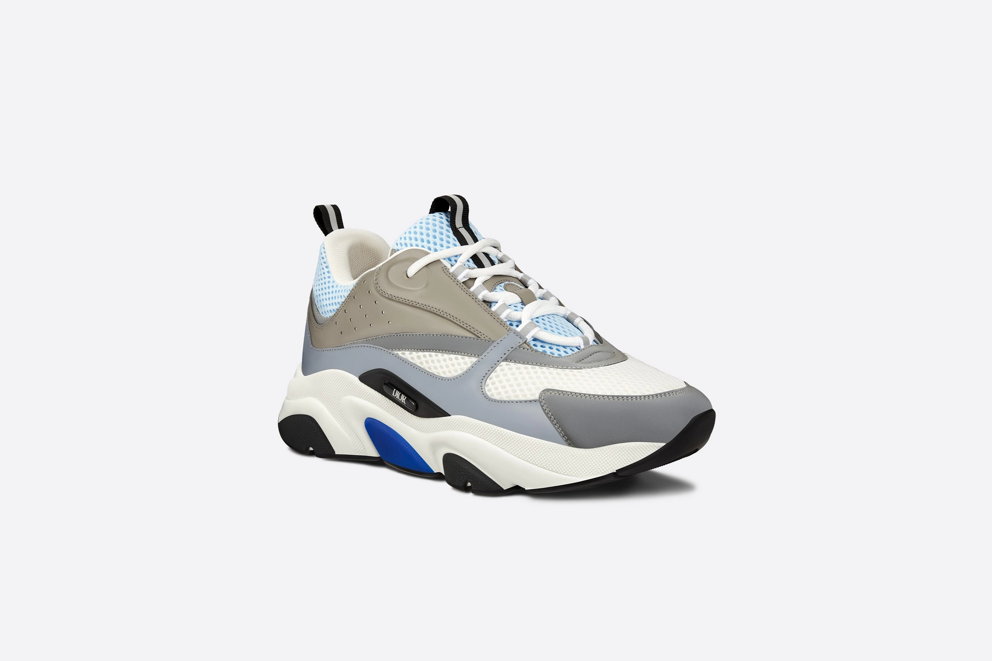 Dior B22