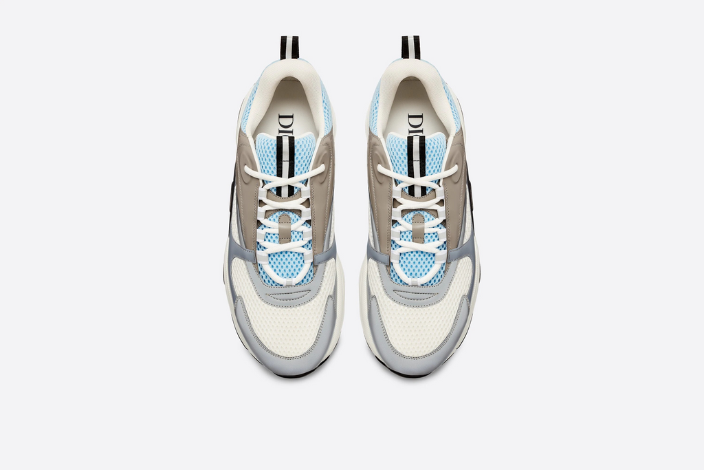 Dior B22