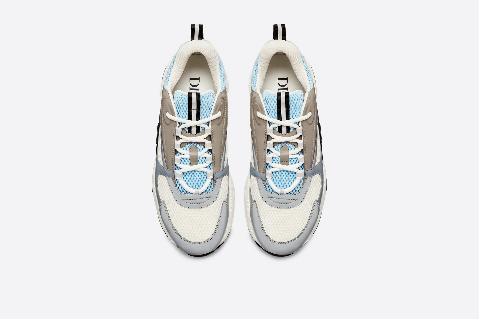 Dior B22