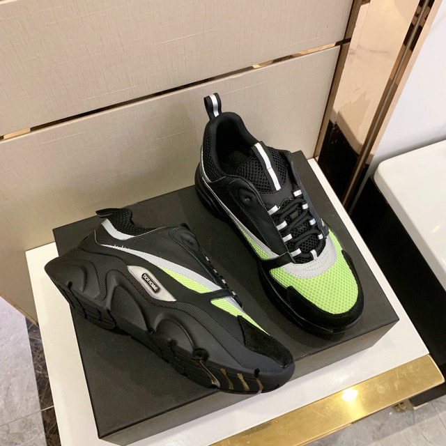 Dior B22