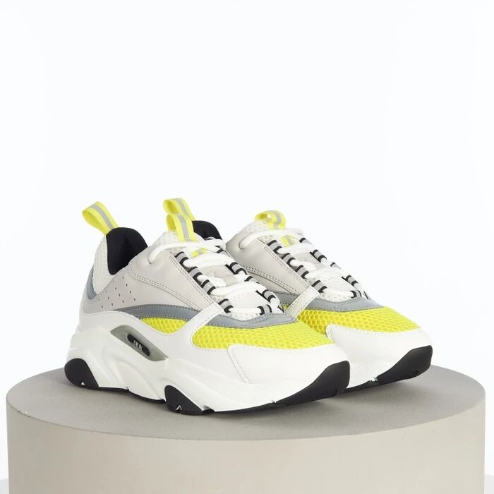 Dior B22